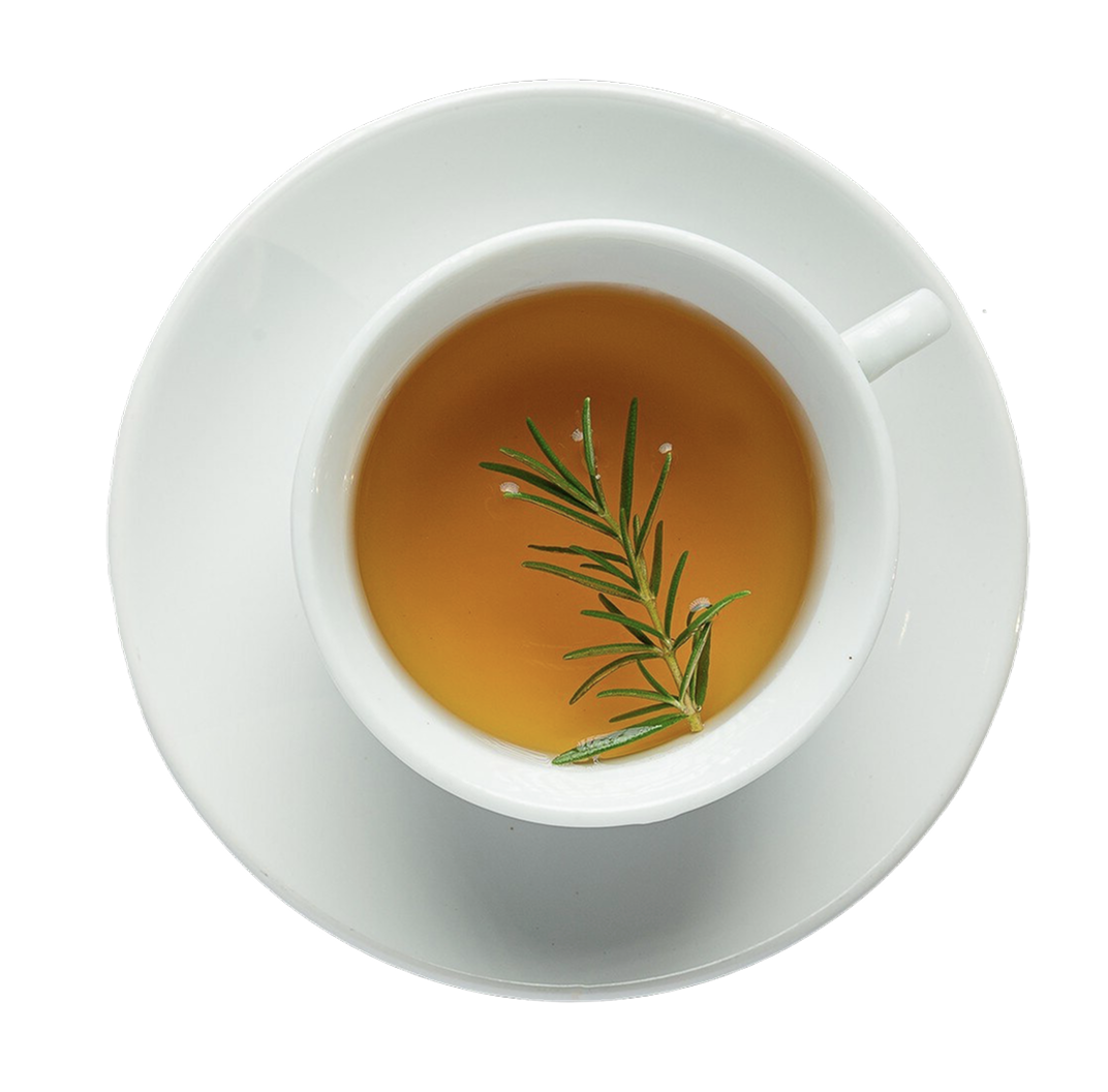 비중 추천 음식