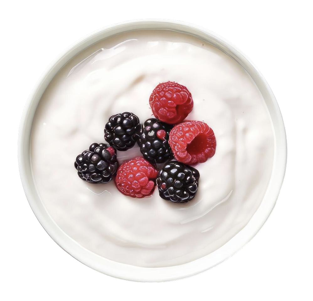 아질산염 추천 음식