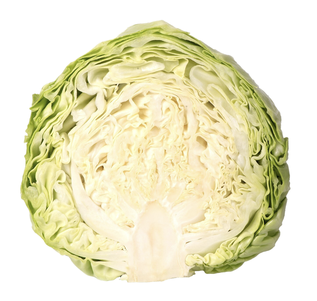 빌리루빈 추천 음식