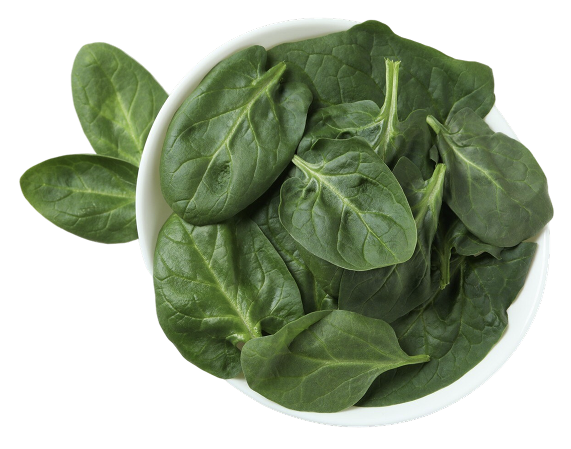 잠혈 추천 음식