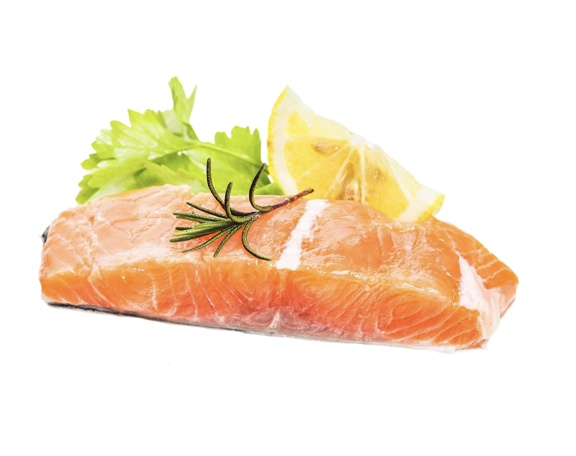 단백질 추천 음식